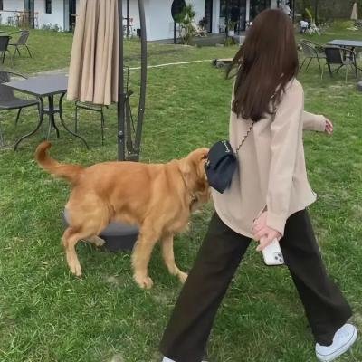 奶爸当家
